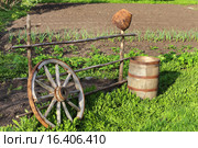 Колесо с бочкой и кринкой. Стоковое фото, фотограф Анатолий Матвейчук / Фотобанк Лори