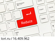 Белая концептуальная клавиатура - Клавиша Reduce ("Уменьшить") Стоковое фото, фотограф Самохвалов Артем / Фотобанк Лори