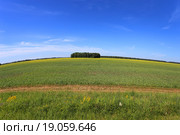 Колок на круглой планете. Стоковое фото, фотограф Анатолий Матвейчук / Фотобанк Лори