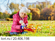Little girl sits on sunny glade in autumn park and uploads plastic wheelbarrow with dried yellow leaves. Стоковое фото, фотограф Losevsky Pavel / Фотобанк Лори