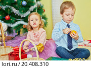Little girl and boy sit on furry rug under christmas tree, boy skins tangerin with concentation. Стоковое фото, фотограф Losevsky Pavel / Фотобанк Лори