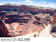 Каньон. Национальный парк Каньонлендс, Юта, США (2015 год). Стоковое фото, фотограф Ирина Кожемякина / Фотобанк Лори