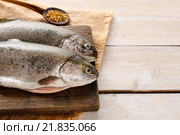 Two rainbow trouts on rustic wooden table, copy space. Стоковое фото, агентство BE&W Photo / Фотобанк Лори