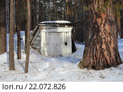 Погребок в лесу. Стоковое фото, фотограф Анатолий Матвейчук / Фотобанк Лори