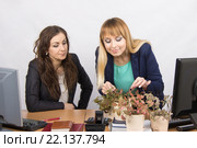 Одна сотрудница офиса неприязненно смотрит  на коллегу - любительницу цветов. Стоковое фото, фотограф Иванов Алексей / Фотобанк Лори