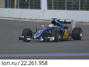 Гран-при России «Формулы 1» 2015. Квалификация. Маркус Эрикссон. Команда Sauber F1. 2015 Russian Grand Prix Formula 1. Qualifying. Marcus Ericsson. Sauber F1 Team. Редакционное фото, фотограф Екатерина Лызлова / Фотобанк Лори