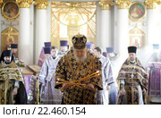 Празднование 500-летия со дня преставления святителя Серапиона в храме Покрова Пресвятой Богородицы, город Балашиха (2016 год). Редакционное фото, фотограф Дмитрий Неумоин / Фотобанк Лори