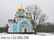 Голубая каменная православная церковь зимой в монастыре Никандрова Пустынь в Псковской области. Стоковое фото, фотограф Максим Мицун / Фотобанк Лори