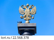 Двуглавый орел на памятной стеле в честь присвоения городу Луга звания Города воинской славы (2016 год). Редакционное фото, фотограф Александр Щепин / Фотобанк Лори