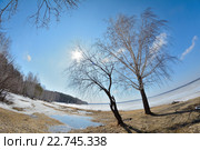 Весна. Стоковое фото, фотограф Перевалов Николай / Фотобанк Лори