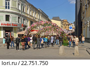 Фестиваль "Московская весна" 2016. Вишневый сад на Кузнецком Мосту. Редакционное фото, фотограф Валерия Попова / Фотобанк Лори