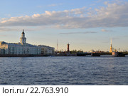 Вид на Кунсткамеру, ростральные колонны и Петропавловскую крепость весной (2016 год). Редакционное фото, фотограф Максим Мицун / Фотобанк Лори