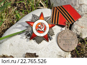 Орден отечественной войны и военная медаль. Стоковое фото, фотограф Оксана Синникова / Фотобанк Лори