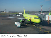 Погрузка багажа в самолет Airbus A319 компании S7 Siberia airlines перед вылетом. Аэропорт Домодедово, Москва (2016 год). Редакционное фото, фотограф Виктор Карасев / Фотобанк Лори
