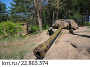 Башенная артиллерийская установка АФДС на базе башни танка ИС-4 солнечным майским днем. Выставочный комплекс "Сестрорецкий рубеж" (2016 год). Редакционное фото, фотограф Виктор Карасев / Фотобанк Лори