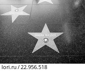 Аллея Славы (Walk of Fame). Голливудский бульвар. Лос-Анджелес. США. Редакционное фото, фотограф Vladimir Sviridenko / Фотобанк Лори