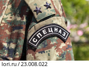 Погон и нарукавный шеврон офицера спецназа ГУФСИН. Стоковое фото, фотограф FotograFF / Фотобанк Лори