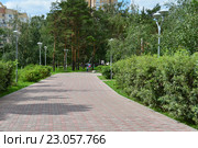 Прогулочная зона на Жулебинском бульваре в Москве (2015 год). Стоковое фото, фотограф lana1501 / Фотобанк Лори