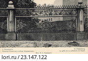 Санкт-Петербург. Решетка Казанского собора (Воронихин). Фот. П.С.Радецкого. Дореволюционная открытка. Стоковое фото, фотограф Ирина Быстрова / Фотобанк Лори