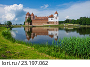 Европа, Беларусь: Мирский замок (2014 год). Стоковое фото, фотограф Писаревский Владислав / Фотобанк Лори