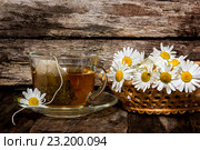 Ромашковый чай. Лекарственный настой в прозрачной чашке и ромашки. Стоковое фото, фотограф Наталья Осипова / Фотобанк Лори