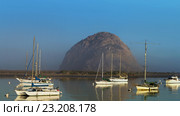 Morro Rock в Морро Бей, Тихий океан, Калифорния (2016 год). Редакционное фото, фотограф NataMint / Фотобанк Лори