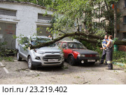 Рабочие убирают упавшее на стоянку дерево (2016 год). Редакционное фото, фотограф Павел Москаленко / Фотобанк Лори