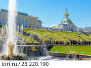 Фонтан "Самсон разрывает пасть льву" на фоне дворца в Петергофе (2016 год). Редакционное фото, фотограф Sergei Gushchin / Фотобанк Лори