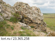 Окаменелости крупным планом на горе уши в Камышине Волгоградской области (2016 год). Стоковое фото, фотограф Иванов Алексей / Фотобанк Лори