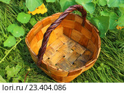 Корзина. Стоковое фото, фотограф Анатолий Матвейчук / Фотобанк Лори