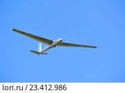 Спортивный планер Let L-13 Blanik (бортовой номер 28) на фоне неба (2016 год). Редакционное фото, фотограф Александр Замараев / Фотобанк Лори