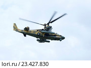Боевой разведывательно-ударный вертолёт Ка-52 "Аллигатор" в небе. Стоковое фото, фотограф Александр Щепин / Фотобанк Лори
