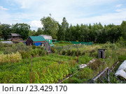 Дачный участок. Стоковое фото, фотограф Катерина Белякина / Фотобанк Лори