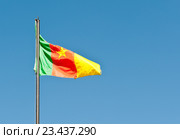 Государственный флаг Республики Камерун на фоне безоблачного неба. Стоковое фото, фотограф E. O. / Фотобанк Лори