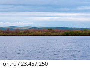 Осенний пейзаж леса рядом с рекою. Стоковое фото, фотограф Катерина Белякина / Фотобанк Лори