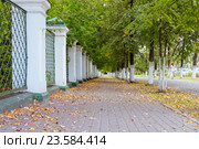 Осенняя аллея. Стоковое фото, фотограф Максим Бейков / Фотобанк Лори