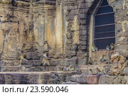 Обезьяны на развалинах древнего храма Wat Phra Prang Sam Yot temple в Лопбури, Таиланд (2016 год). Стоковое фото, фотограф Natalia Sidorova / Фотобанк Лори