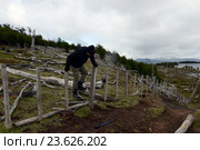 Турист перелезает через забор на Огненной Земле (2014 год). Редакционное фото, фотограф Free Wind / Фотобанк Лори