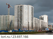 Жилой дом на улице Коллониай. Санкт-Петербург (2016 год). Редакционное фото, фотограф Александр Щепин / Фотобанк Лори