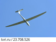 Двухместный планер G103C Twin III (бортовой номер RA-2442G) на фоне неба (2016 год). Редакционное фото, фотограф Александр Замараев / Фотобанк Лори