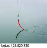Джиг приманка на поводке. Стоковое фото, фотограф Алёшина Оксана / Фотобанк Лори