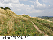 Бугорки, тропинки, небо и горизонт. Стоковое фото, фотограф Виктор Кощеев / Фотобанк Лори