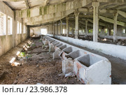 Старый заброшенный коровник, вид внутри здания. Стоковое фото, фотограф Иванов Алексей / Фотобанк Лори
