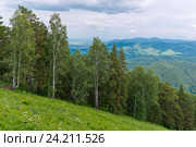 Россия, Алтайский край;город-курорт Белокуриха. ; Виды  с горы Церковка. (2016 год). Стоковое фото, фотограф Александр Циликин / Фотобанк Лори