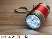 LED Flashlight Keychain. Стоковое фото, фотограф Alexander / Фотобанк Лори