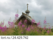 Часовня Николая Чудотворца в Гоморовичах в хмурый июльский день (Лениградская область) (2016 год). Стоковое фото, фотограф Самохвалов Артем / Фотобанк Лори