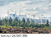Вид на строящиеся корпуса нового 17 микрорайона Зеленограда через вырубку и узкую полоску леса (2016 год). Редакционное фото, фотограф Сайганов Александр / Фотобанк Лори
