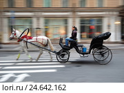 Движение кареты с лошадью на улице города (2009 год). Редакционное фото, фотограф Иван Козлович / Фотобанк Лори