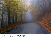 Дорога в осень. Стоковое фото, фотограф Яна Королёва / Фотобанк Лори