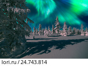 Зимний ночной пейзаж с северным сиянием и ночным лесом. Стоковое фото, фотограф Оксана Владимировна Грачева / Фотобанк Лори